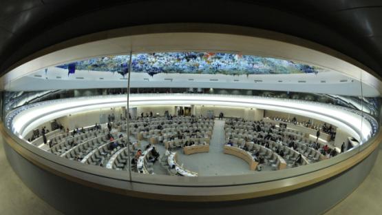 Rights organisations call on UN Human Rights Council to establish Special Rapporteur on the Right to Privacy
