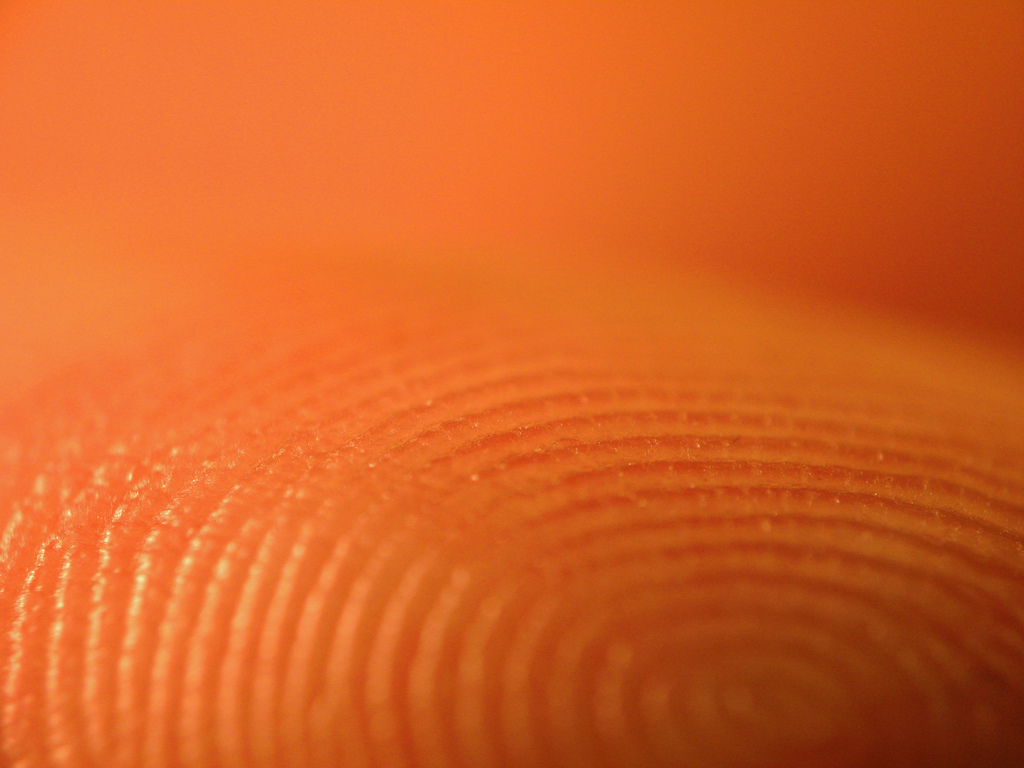 Council of Europe refuses to investigate biometrics privacy