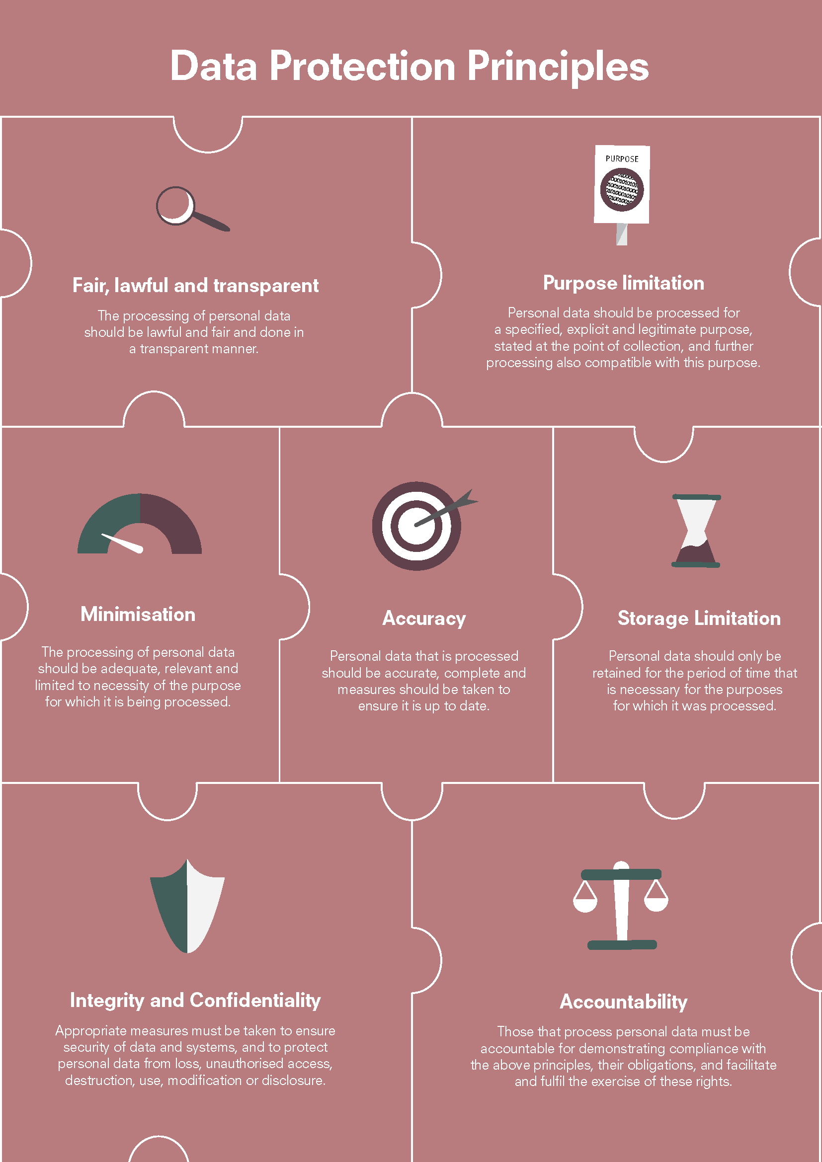 DP Principles_graphic