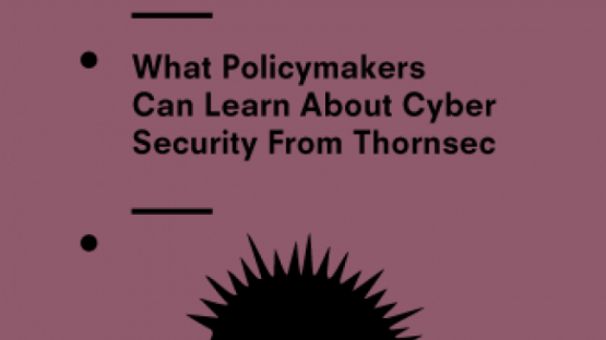 What policymakers can learn about cyber security from Thornsec