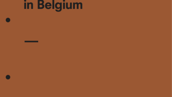 The Right to Privacy in Belgium