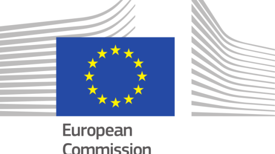 Privacy International Response To Consultation On The Interoperability Of EU Information Systems For Borders And Security