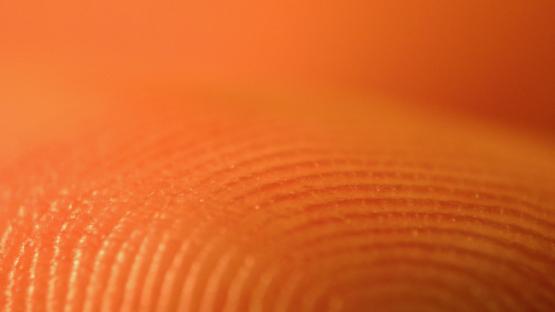 PI leads coalition of organisations against Japanese government plans for fingerprinting at border