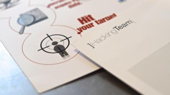 Did Hacking Team receive Italian public funding?