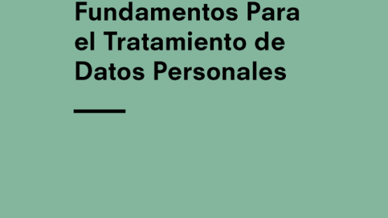 Fundamentos Para el Tratamiento de Datos Personales