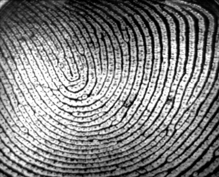 French report highly critical of new French ID Card project