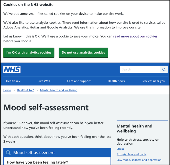 Screenshot of NHS depression test page