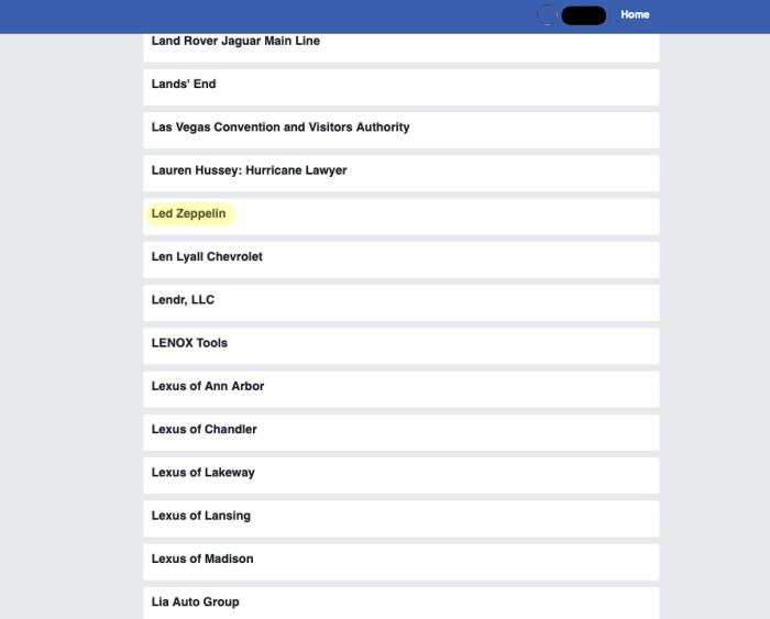 FB Advertisers list screenshot