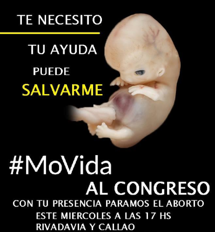 An image of a fetus used in a call for a march in 2018