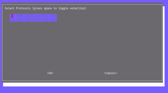 Fig. 4: Pi-hole protocol selection