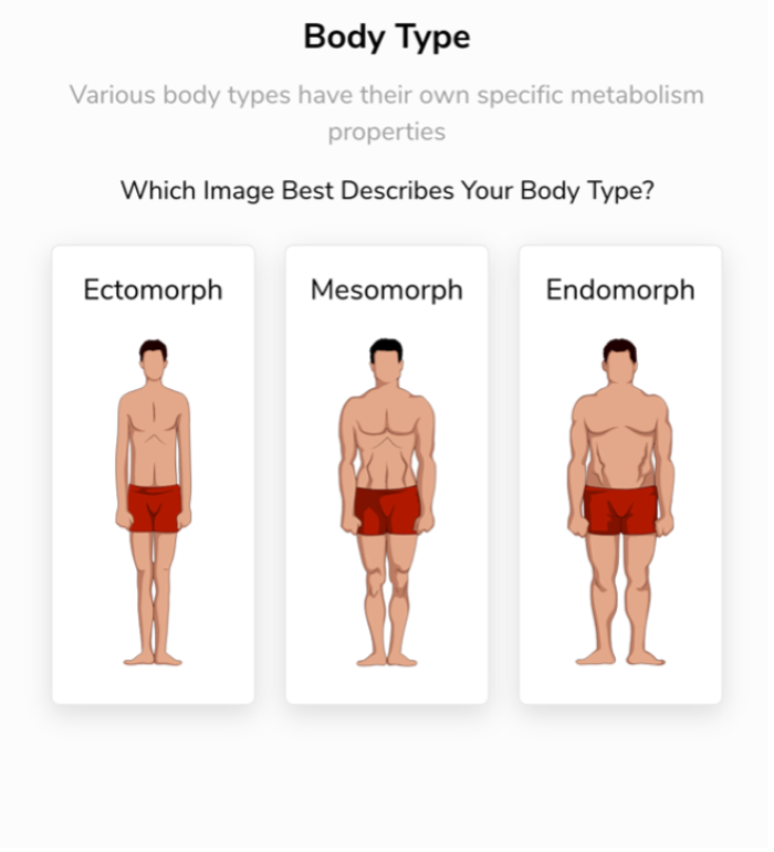 BetterMe Image from the test: Male Body Type