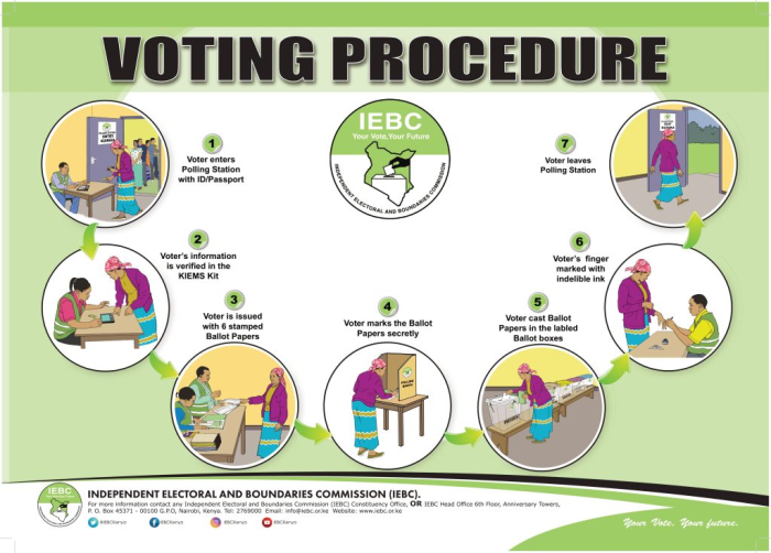 Image describing voting process step-by-step.