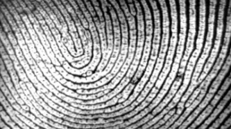 EU to announce fingerprinting for all visitors