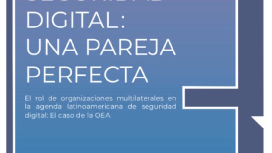 Derechos humanos y seguridad digital: una pareja perfecta