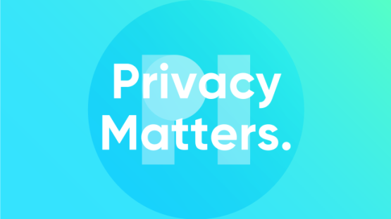 PI - Privacy matters logo
