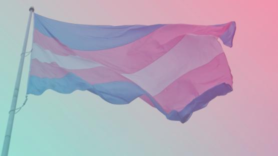 Trans flag 