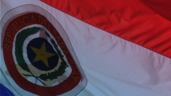 Flag Image