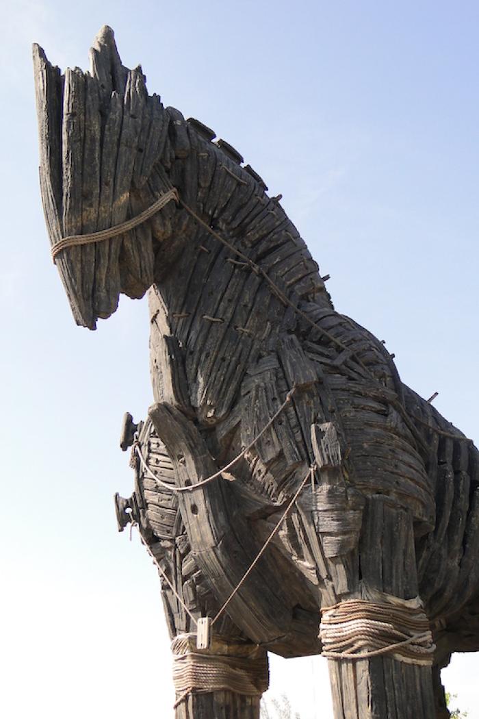 Replica trojan horse