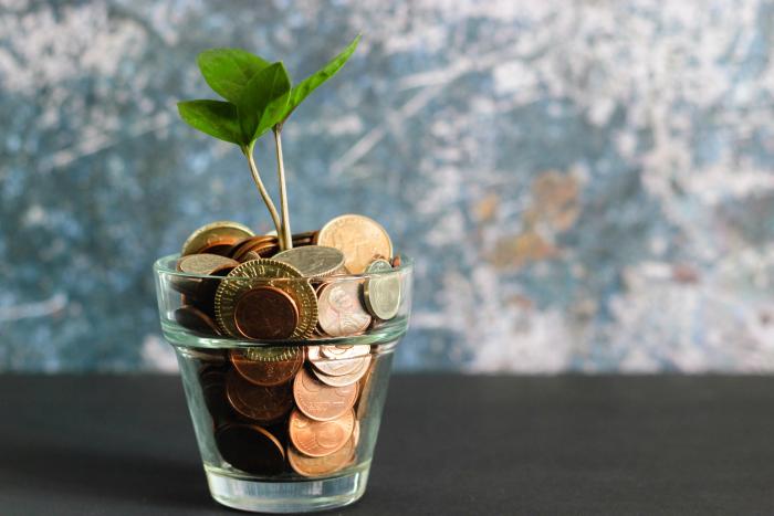 Flower pot with coins