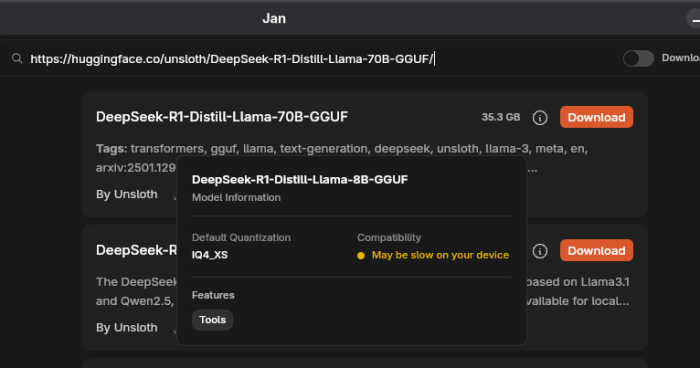 Jan hub - information about how the model will run