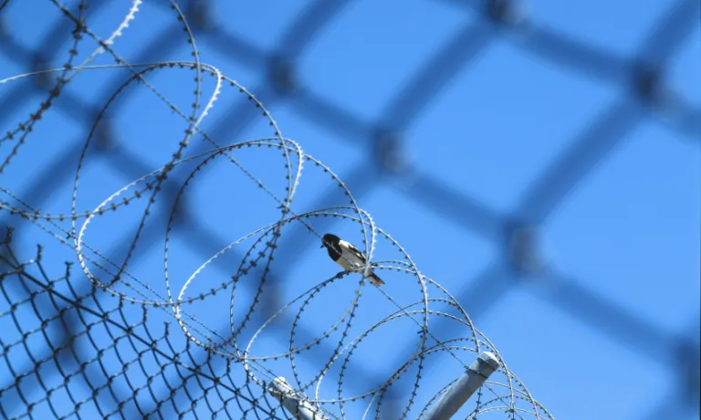 A bird sitting on top of a barbed wire fence.