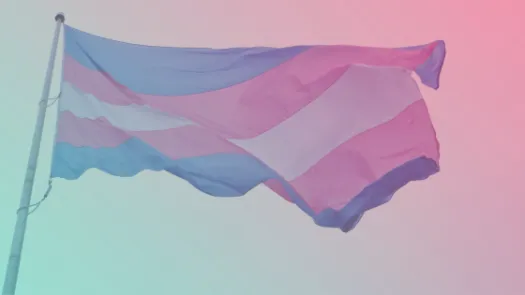 Trans flag 