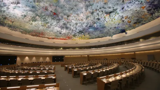 UN Human Rights Council