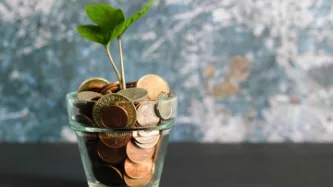 Flower pot with coins