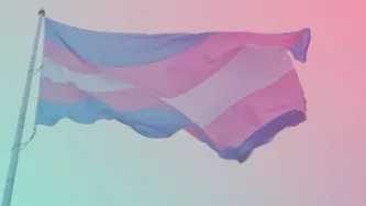 Trans flag 
