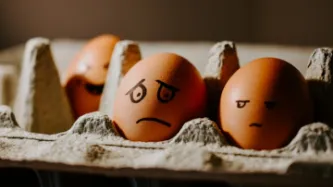 Two eggs in a crate with faces drawn on them, one clearly bad and other mildly embarassed